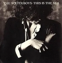This is the Sea - The Waterboys